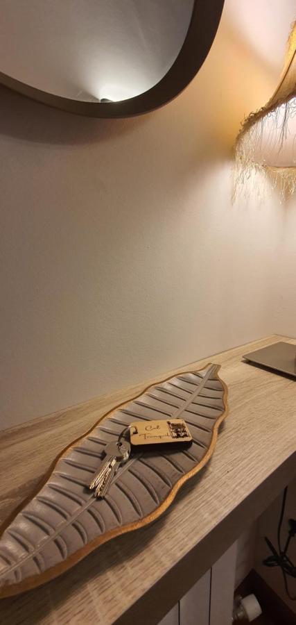 Cal Tranquil Camprodon, Acollidor Atic Al Centre Apartment Exterior photo