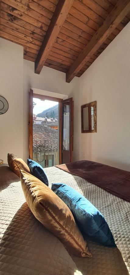 Cal Tranquil Camprodon, Acollidor Atic Al Centre Apartment Exterior photo